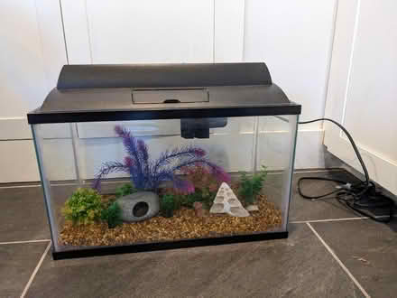 Photo of free Fish tank and accessories (Crescent Heights) #1