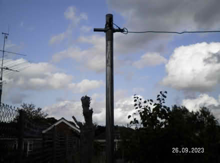 Photo of pole for linen line (New Costessey NR5) #1