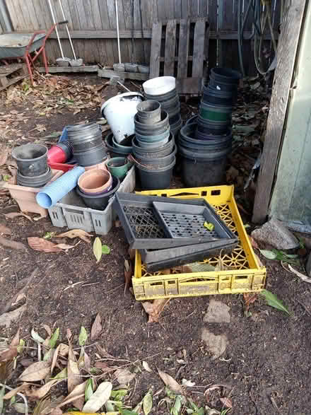 Photo of free Plastic pots (bega) #1