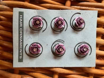 Photo of free Hair Pins (Taunton TA2 Kingston St Mary) #1