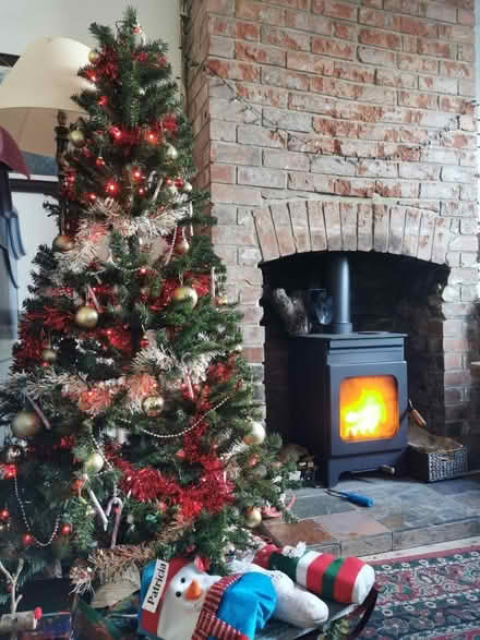 Photo of free Christmas tree (BS1) #3
