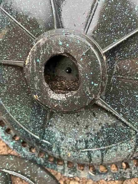 Photo of free Bird bath (New Brighton CH45) #4