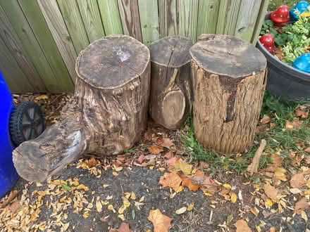Photo of free 3 woods log (Frederick , Maryland) #1
