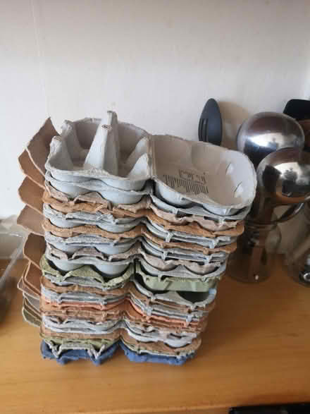 Photo of free bunch of eggholders (N5) #1