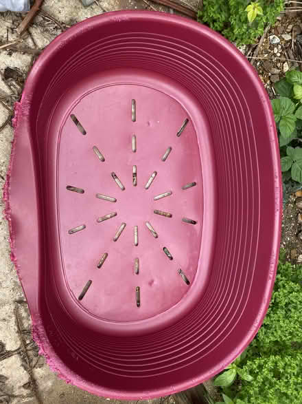 Photo of free dog bed (Highfields Caldecote) #1