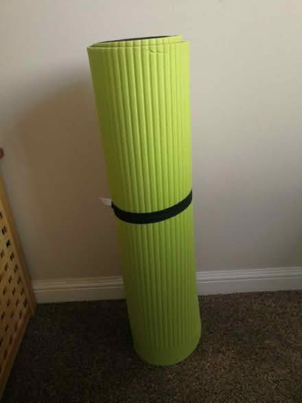 Photo of free Workout mat (Danderhall EH22) #1
