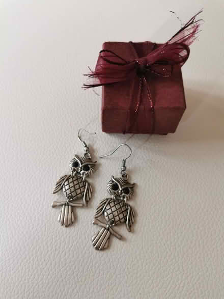 Photo of free Owl earrings, brand new with box (BS1) #1