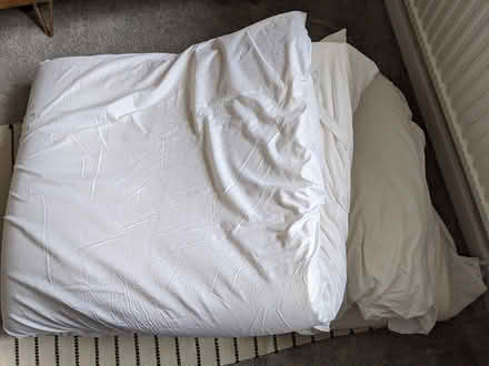 Photo of free Thick double mattress protector (BS31) #1