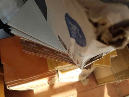 Photo of free Wall tiles - white & coloured3 (Verwood BH31) #2