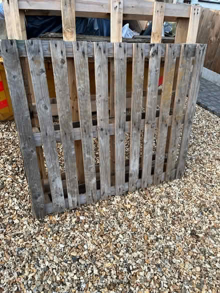 Photo of free 2 sturdy wooden pallets (Cheam) #1
