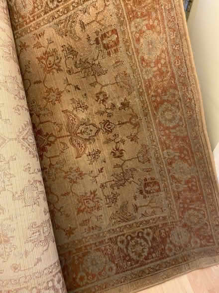 Photo of free Rug (Bradmore) #1