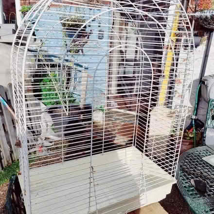 Photo of free Birdcage (Reddish SK5) #1