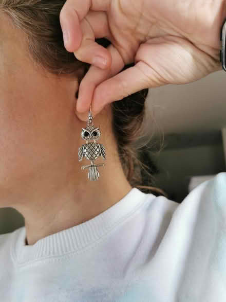 Photo of free Owl earrings, brand new with box (BS1) #2