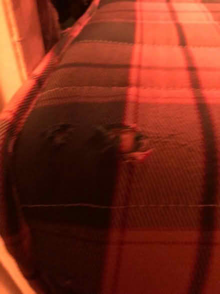 Photo of free Double mattress (Chalk Farm NW1) #4