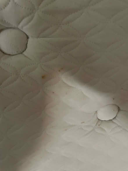 Photo of free Queen Mattress (Justice 83rd PL and Roberts Rd) #3