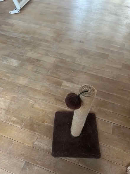 Photo of free Scratching post (Chalkwell SS0) #1