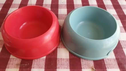 Photo of free 2 x cat bowls (St Helens TN35) #2