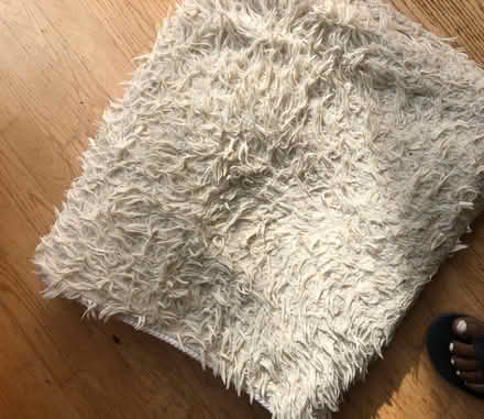 Photo of free Furry rug (Cumnor OX2) #1