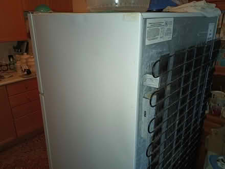Photo of free FRIDGE:full size kenmore (far west) #2