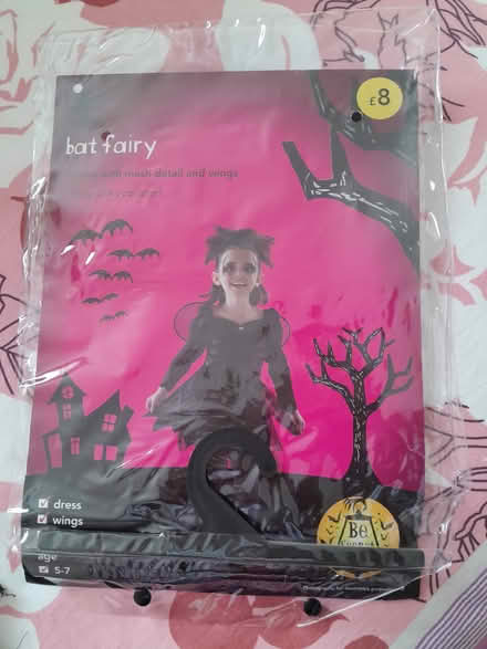 Photo of free Halloween costume for 5-7age girl (Whitley RG2) #2