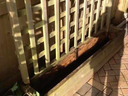 Photo of free Trellis planter (Tavistock) #2