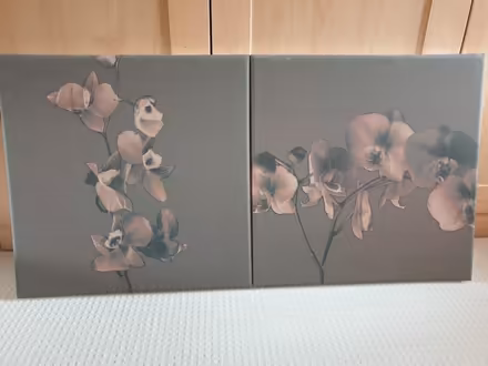 Photo of free Canvas pictures, flowers (Bracknell Forest RG42) #1