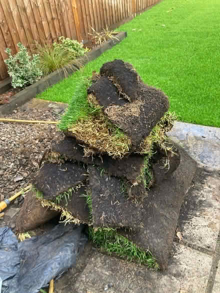 Photo of free Turf offcuts for compost (Hither Green SE13) #1