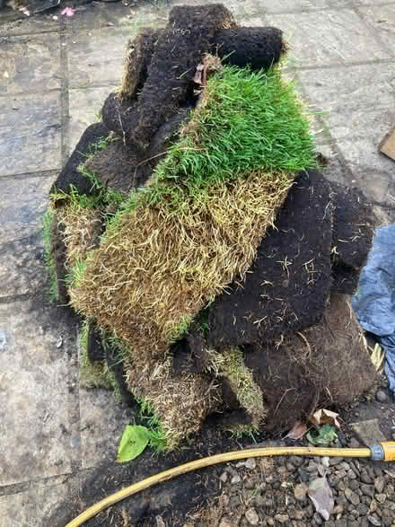 Photo of free Turf offcuts for compost (Hither Green SE13) #2