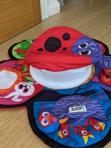 Photo of free Lamaze tummy time mat (KT15) #4