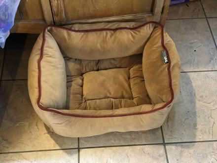 Photo of free Pet bed (Boothgate DE56) #1