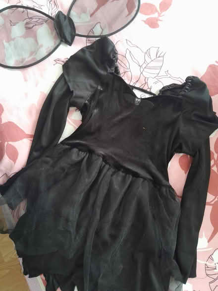 Photo of free Halloween costume for 5-7age girl (Whitley RG2) #4