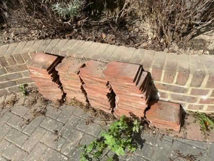 Photo of free Terracotta Garden edging (Lindfield RH16) #1