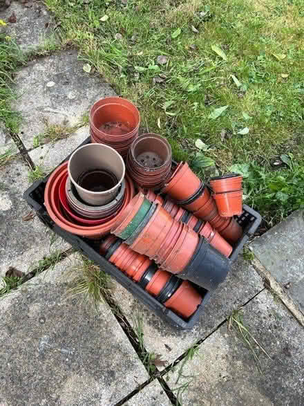 Photo of free Plant pots (Queensbury NW9) #2