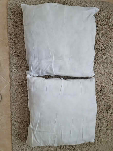 Photo of free Two polyester cushion pads (4 miles south of Petworth) #1