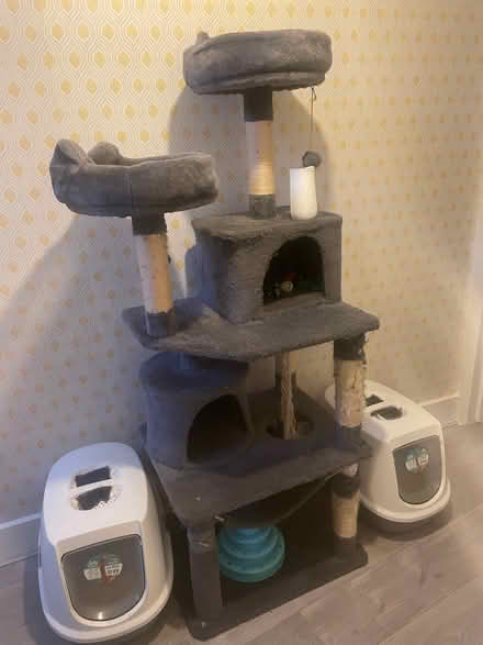 Photo of free Cat Tree - Grey (Camberwell, SE5) #1