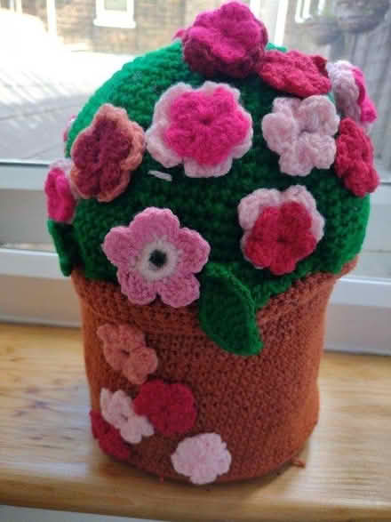 Photo of free Crochet flower plant pot (Eastbourne town centre) #1