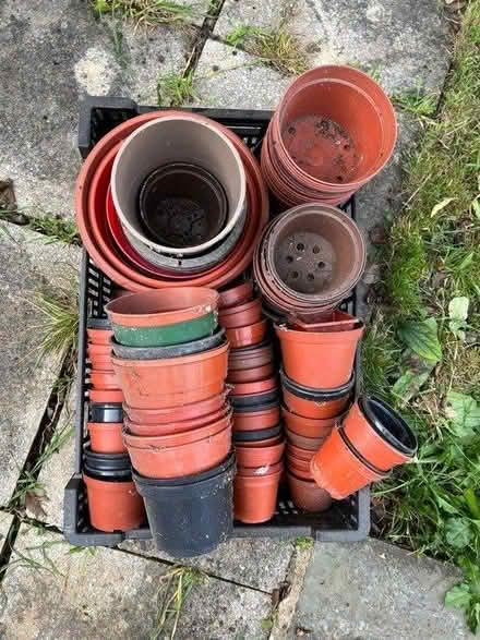 Photo of free Plant pots (Queensbury NW9) #1