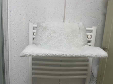 Photo of free Cat bed (Chalkwell SS0) #1