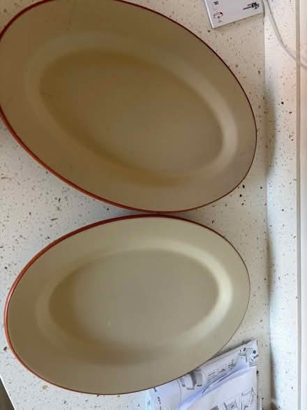 Photo of free Two Large plates (Hampden Park BN22) #1