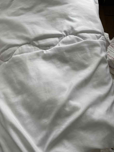 Photo of free John Lewis Eyelet curtains (Norbiton KT2) #2