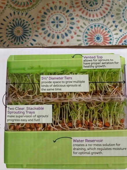 Photo of free Seed sprouter and seeds (Kecoughtan & LaSalle) #3