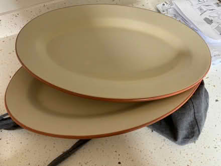 Photo of free Two Large plates (Hampden Park BN22) #2