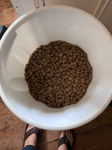 Photo of free Dog food (Hastings TN34) #2