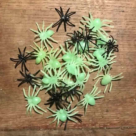 Photo of free Plastic spiders (Isfield TN22) #1