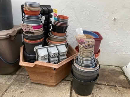 Photo of free Flower pots (Lamorbey DA15) #1