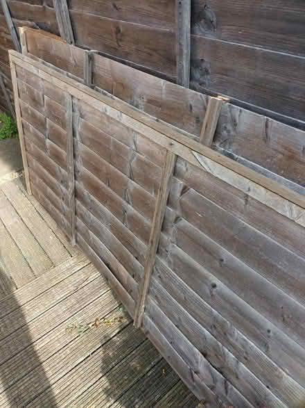 Photo of free Fence panels - cut in half (Leicester/Wigston LE2) #1
