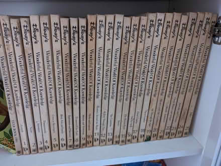 Photo of free Disney's wonderful world (Frodsham WA6 7) #1