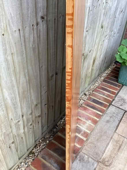 Photo of free Wooden board/possible desktop (Eastbourne BN20) #3