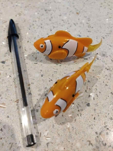 Photo of free Pair of swimming fish toys (Leckhampton GL53) #1