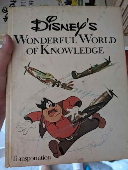 Photo of free Disney's wonderful world (Frodsham WA6 7) #2